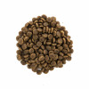 Сухий корм для кішок Brit Care Cat GF Sensitive HDigestion and Delicate Taste 400 г (8595602540716)