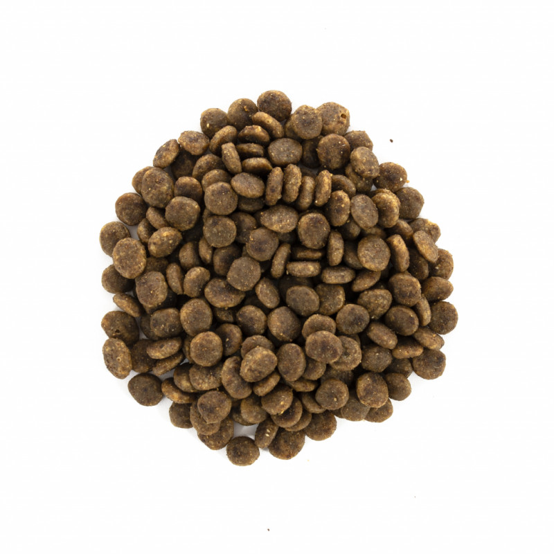 Сухий корм для кішок Brit Care Cat GF Sensitive HDigestion and Delicate Taste 400 г (8595602540716)