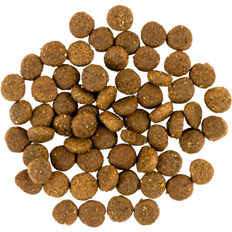 Сухий корм для собак Savory Puppy rich in Fresh Turkey and Chicken 12 кг (4820232630303)