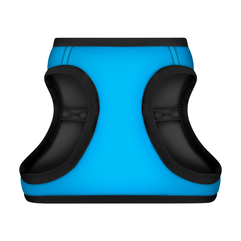 Шлея для собак WAUDOG Clothes з QR паспортом Colors of freedom XS4 (223-4020)