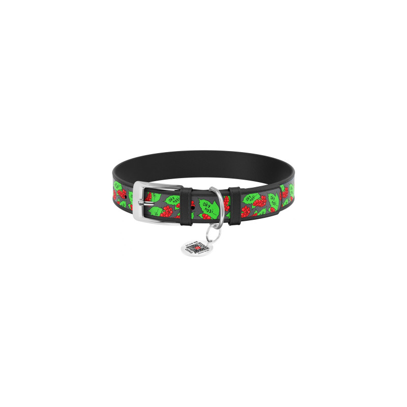 Нашийник для тварин WAUDOG Design з QR паспортом "Калина" XS Ш 12 мм Д 20-28 см (чорний) (3602-0228-01)