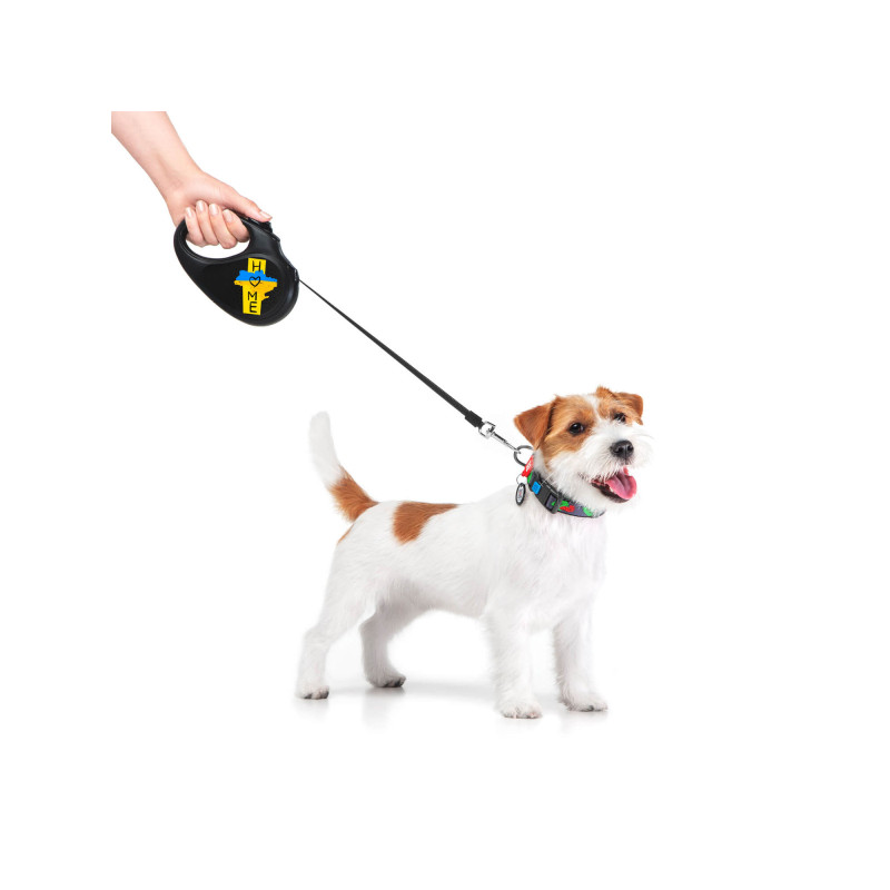 Повідок для собак WAUDOG R-leash Дім світловідбиваюча стрічка XS 3 м (8123-0230-01)