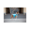 Курточка для тварин Airy Vest XS блакитна (15412)