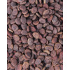 Сухий корм для кішок Carnilove True Fresh Cat Turkey 1.8 кг (8595602561452)