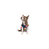 Борцівка для тварин Pet Fashion Cool XS різнобарвна (4823082420162)