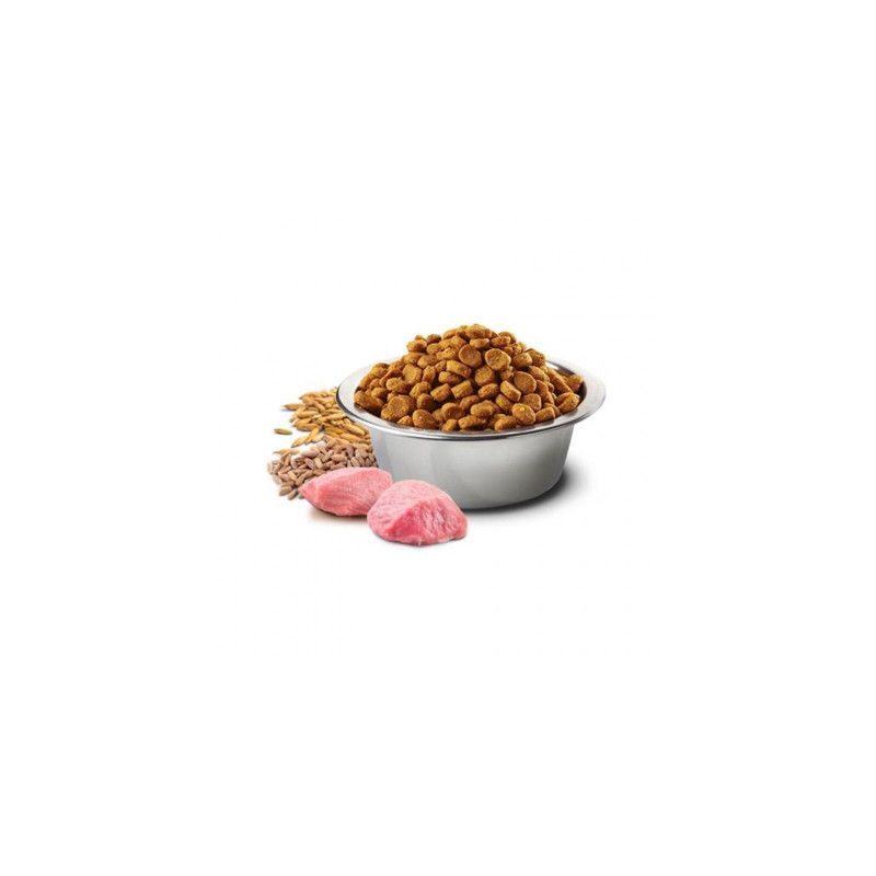 Сухий корм для собак Farmina Low Grain PUPPY MINI з ягням та чорницею 7 кг (8010276035103)