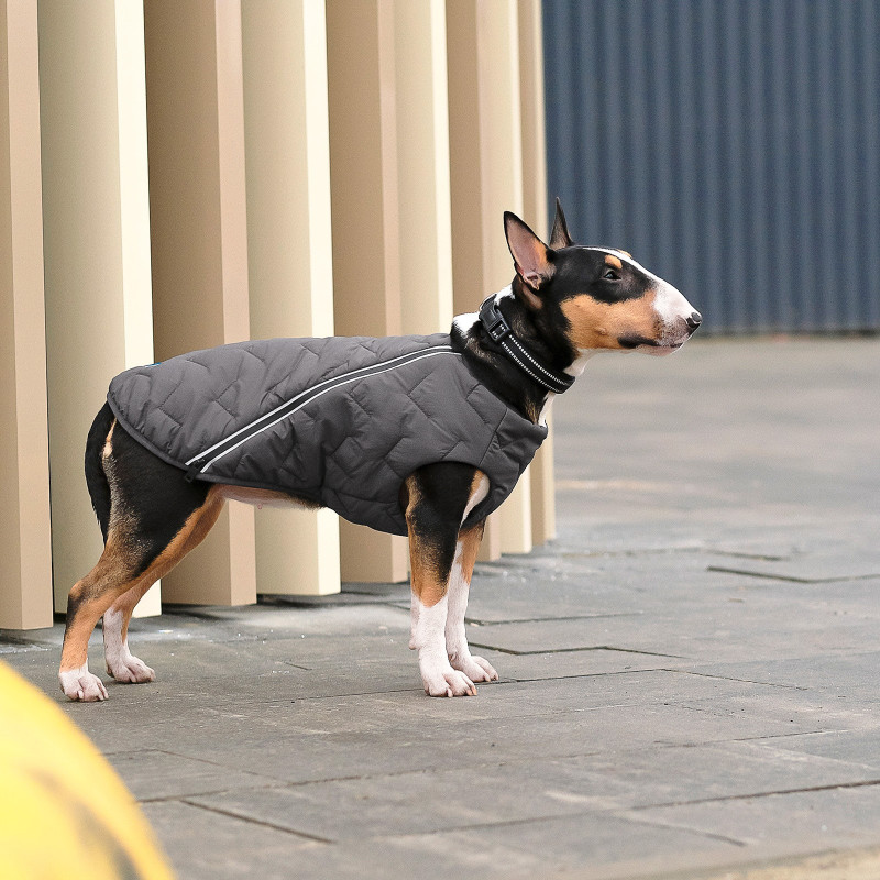 Жилет для тварин Pet Fashion "E.Vest" M сірий (4823082424399)