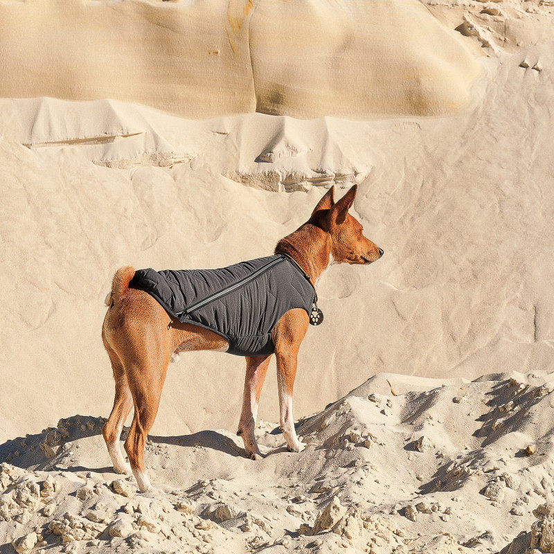 Жилет для тварин Pet Fashion "E.Vest" M сірий (4823082424399)