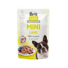 Вологий корм для собак Brit Care Mini pouch 85 г (філе ягняти в соусі) (8595602534401)
