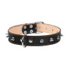 Нашийник для тварин Collar подвійний із шипами 35 мм 48-63 см (чорний) (02871)