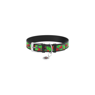 Нашийник для тварин WAUDOG Design з QR паспортом "Калина" XXS Ш 12 мм Д 18-24 см (чорний) (3601-0228-01)