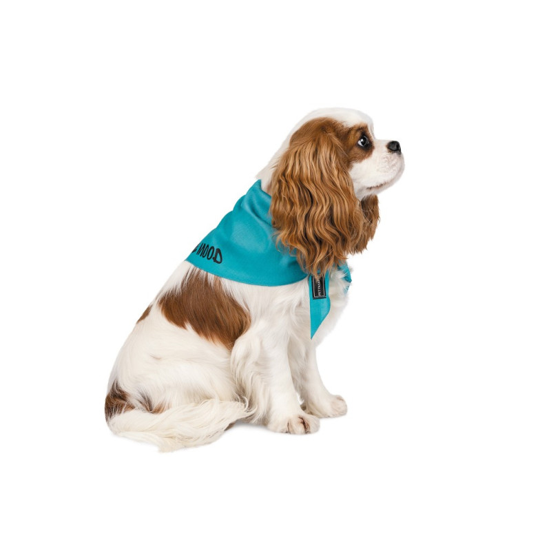 Бандана для тварин Pet Fashion "WEEKEND" XS-S блакитна (4823082421121)