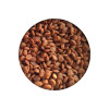 Сухий корм для кішок Essentia Adult Grain Free Exigent зі свининою 300 г (8014556129544)