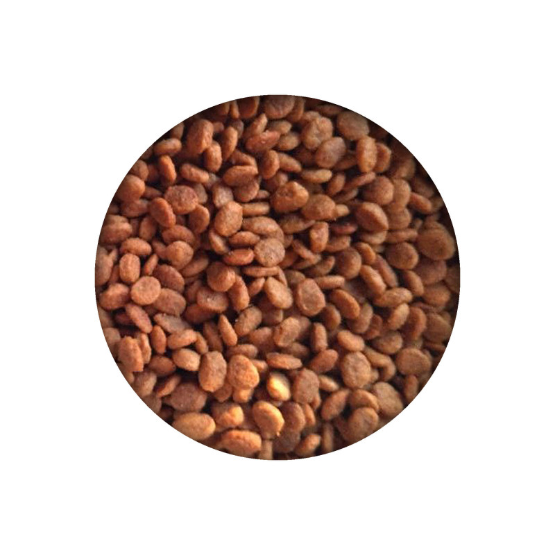 Сухий корм для кішок Essentia Adult Grain Free Exigent зі свининою 300 г (8014556129544)