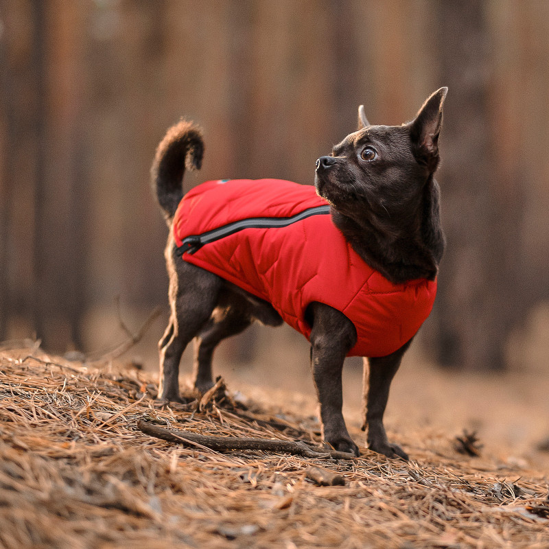 Жилет для тварин Pet Fashion "E.Vest" M червоний (4823082424474)