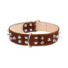 Нашийник для тварин Collar подвійний із шипами 45 мм 56-68 см (коричневий) (03646)