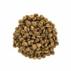 Сухий корм для кішок Brit Care Cat GF Large cats Power and Vitality 400 г (8595602540921)