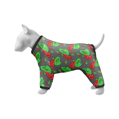 Дощовик для тварин Collar WAUDOG Clothes Калина XS25 В 36-38 см, С 26-28 см (5325-0228)