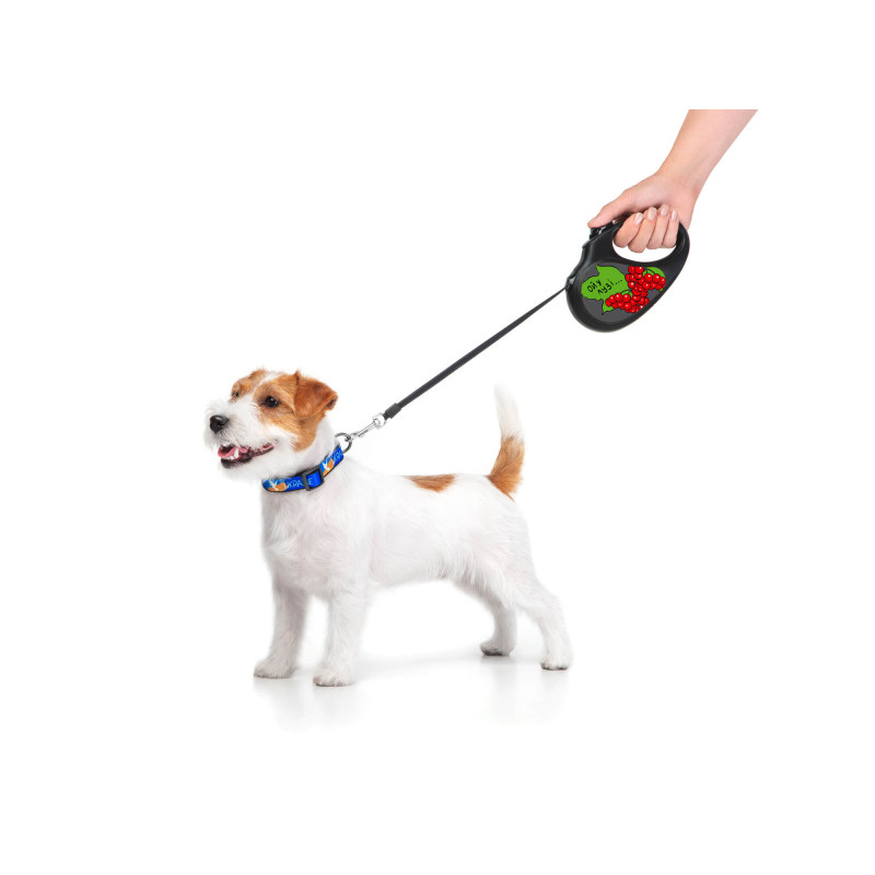 Повідок для собак WAUDOG R-leash Калина світловідбиваюча стрічка S 5 м (8124-0228-01)