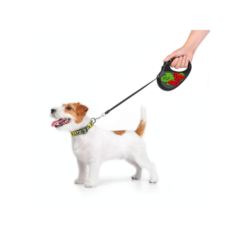 Повідок для собак WAUDOG R-leash Калина світловідбиваюча стрічка S 5 м (8124-0228-01)