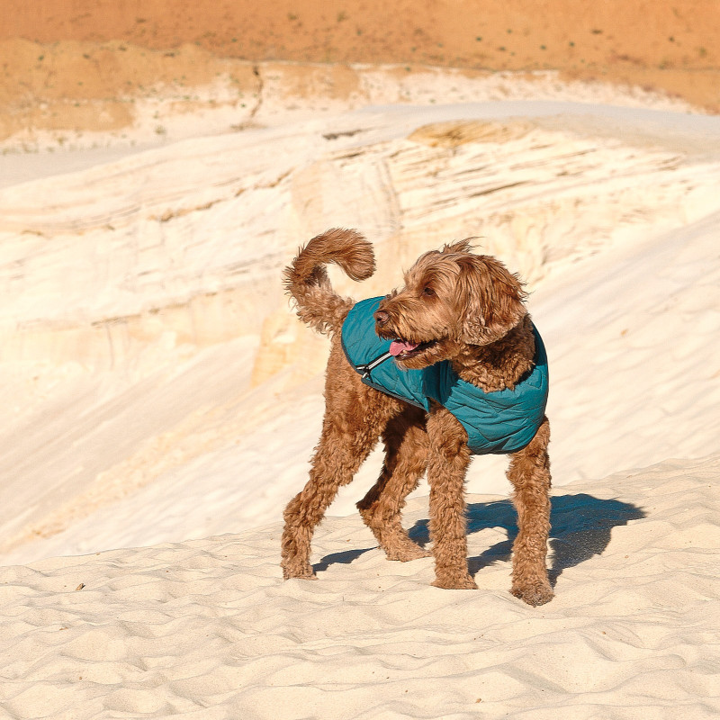 Жилет для тварин Pet Fashion E.Vest морська хвиля S (4823082424139)