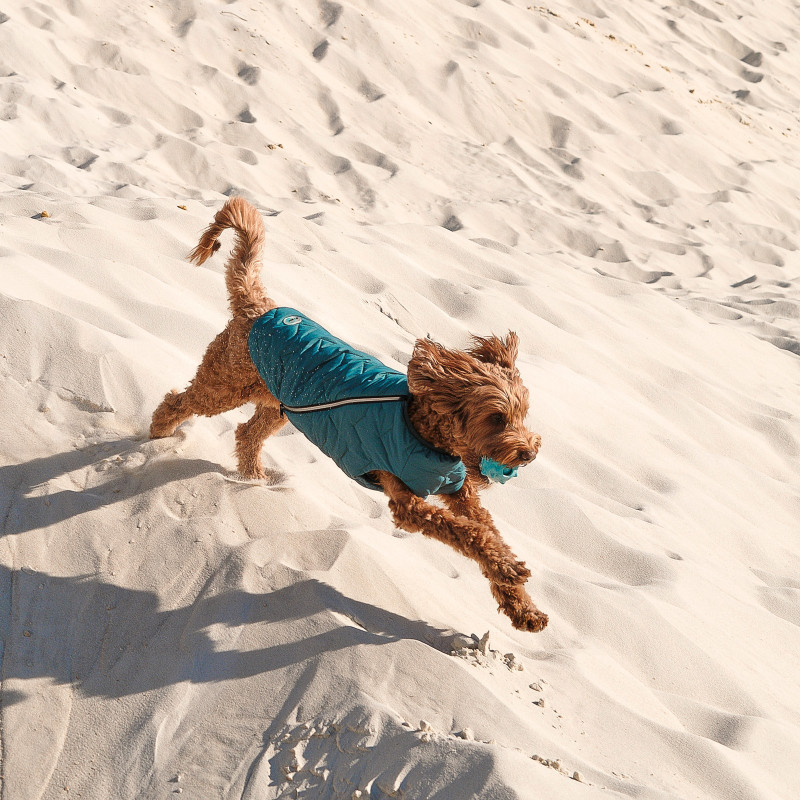 Жилет для тварин Pet Fashion E.Vest морська хвиля S (4823082424139)