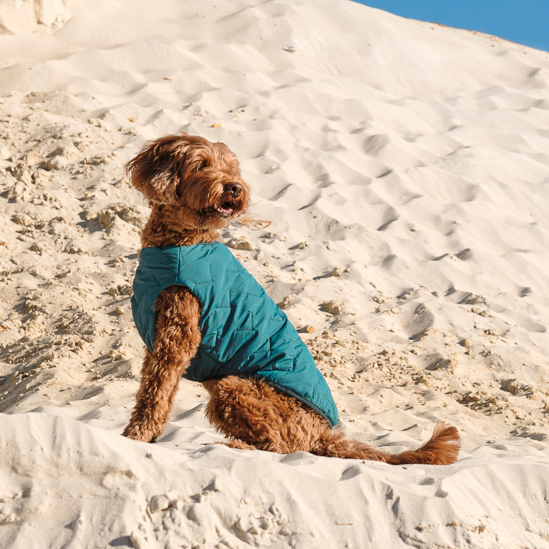 Жилет для тварин Pet Fashion E.Vest морська хвиля S (4823082424139)