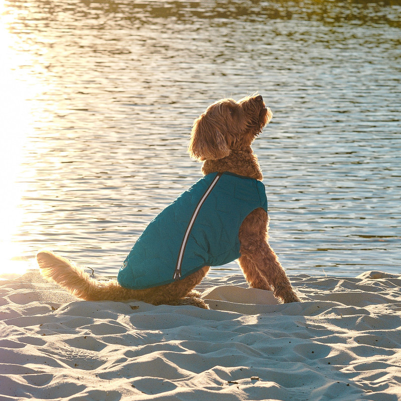 Жилет для тварин Pet Fashion E.Vest морська хвиля S (4823082424139)
