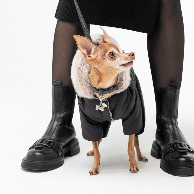 Костюм для тварин Pet Fashion BLACK M (4823082428649)