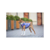 Курточка для тварин WAUDOG Clothes "Рік і Морті 1" S30 (0931-0280)