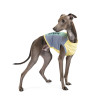 Борцівка для тварин Pet Fashion "Sea Sand" XS жовта з синім (4823082424740)