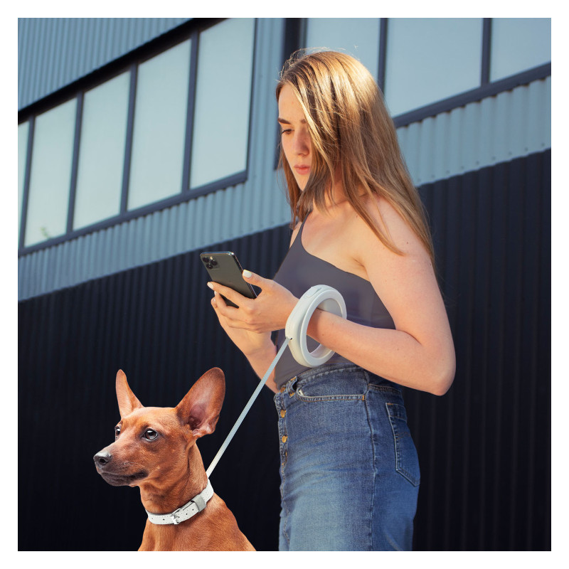 Повідок для собак WAUDOG R-leash світловідбиваюча стрічка XS-M до 40 кг 2.9 м білий (812715)