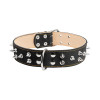 Нашийник для тварин Collar подвійний із шипами 45 мм 56-68 см (чорний) (03641)