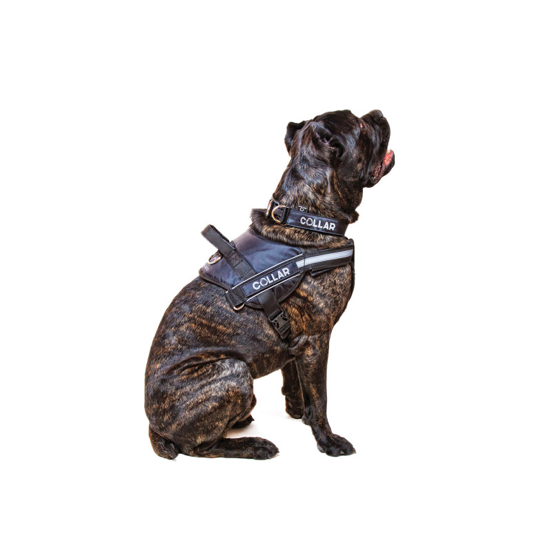 Шлея для собак Dog Extreme Police N4 з ліхтариком 70-100 см чорна (07071)